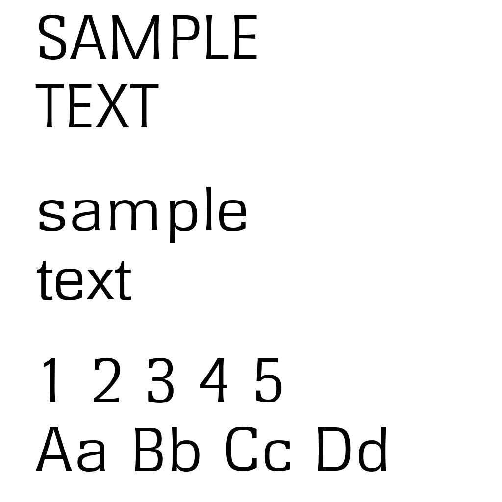 RochesterSerial-Light-Regular